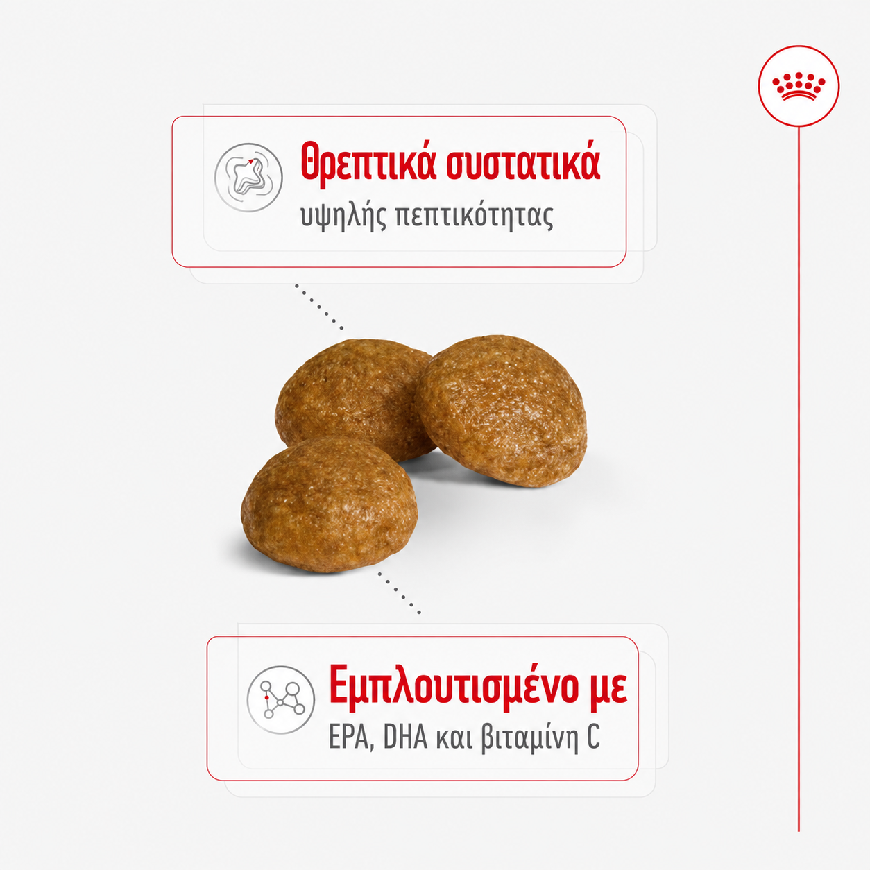 Royal Canin X-Small Adult Ξηρά Τροφή για Ενήλικους Σκύλους Πολύ Μικρόσωμων Φυλών - Image 2