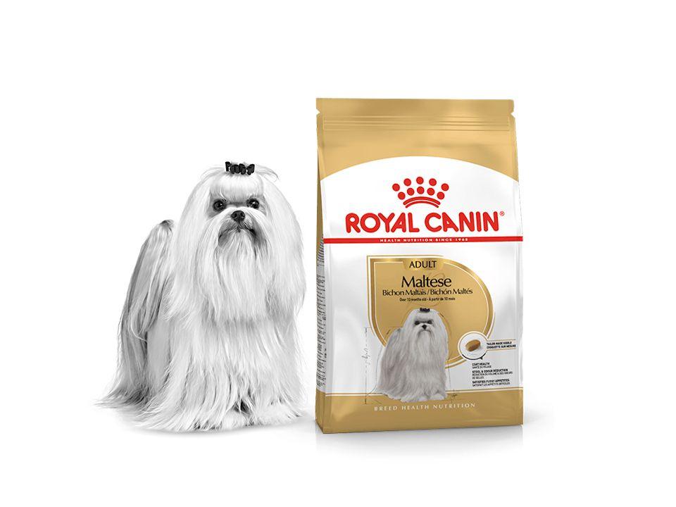 Royal Canin Maltese Adult 1.5kg