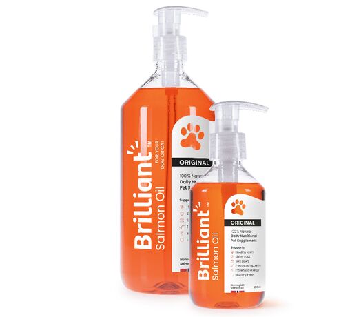Pet Camelot Brilliant Λάδι Σολομού για Σκύλους & Γάτες 300ml